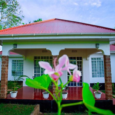 Royal Homestay モシ エクステリア 写真