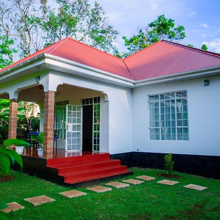 Royal Homestay モシ エクステリア 写真