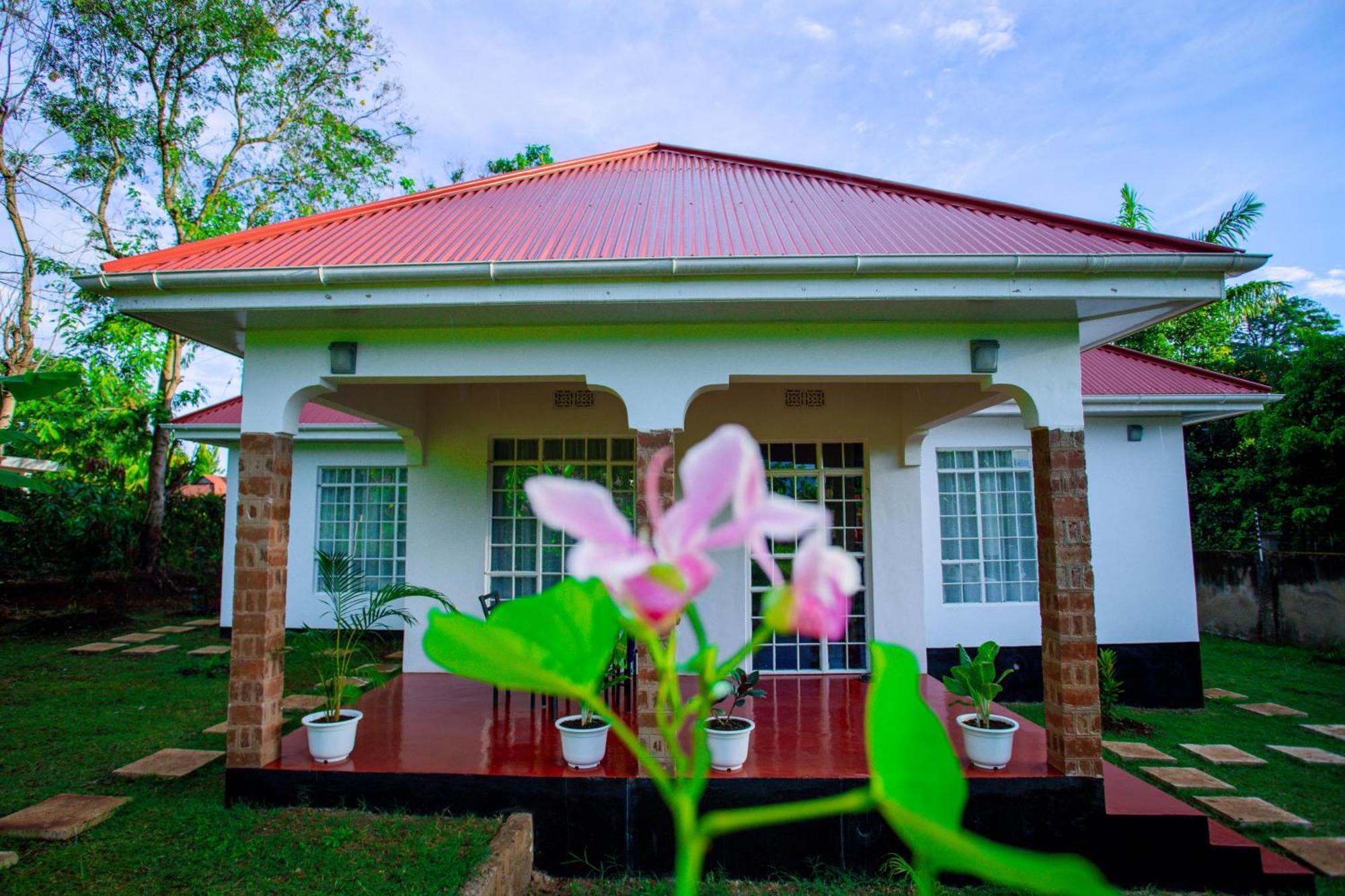 Royal Homestay モシ エクステリア 写真